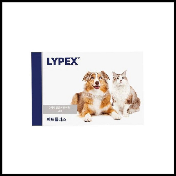 라이펙스 췌장 효소 60