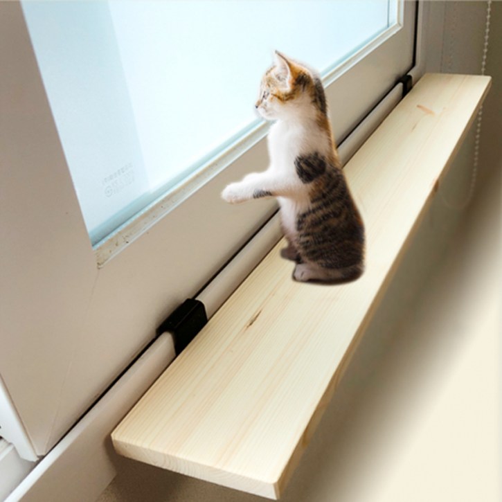 창문 고양이선반 캣워커 캣타워 - 투데이밈