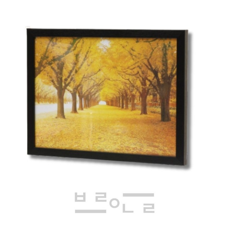 추천아이템샵 두꺼비집 가리개 명화액자