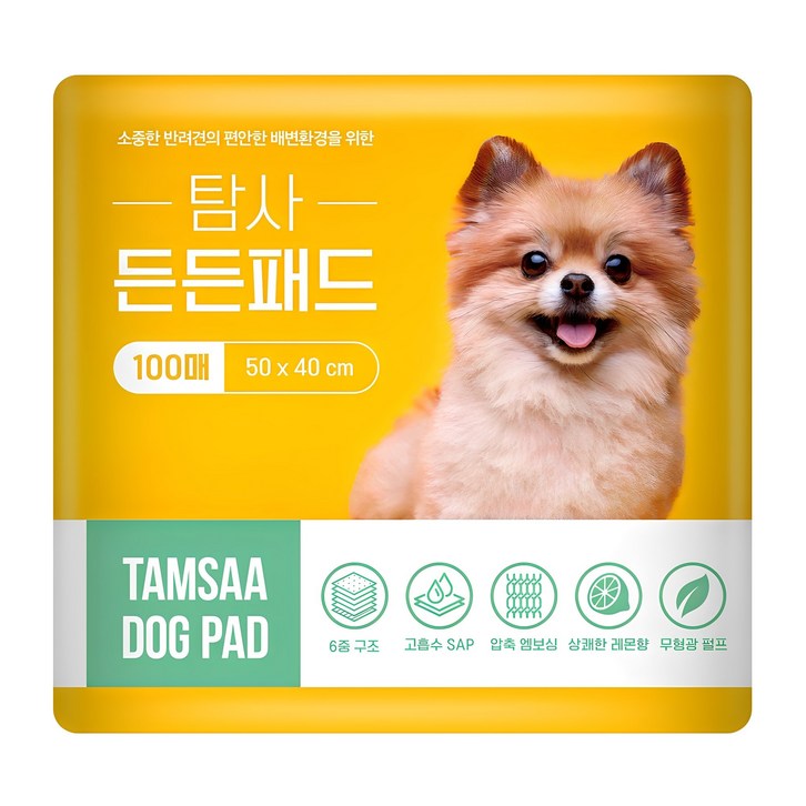 탐사 고흡수 든든패드 레몬향