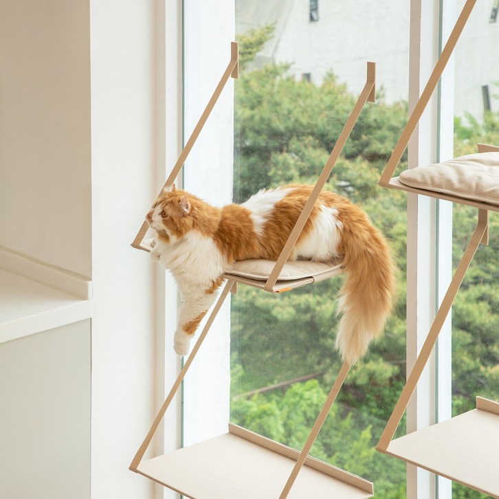 애니멀리프 접을 수 있는 창문 캣타워 / 고양이 원목 소형 미니 대형 계단 캣워크 캣워커