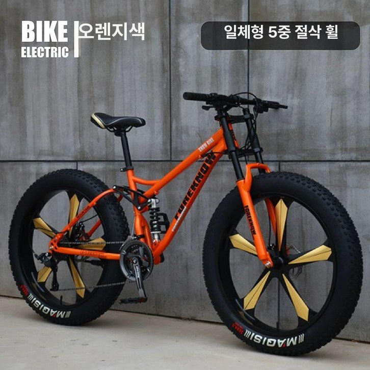 MTB 자전거 일반형 풀샥 팻바이크 입문용