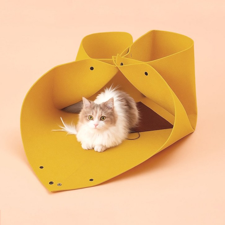 고양이섬 고양이 치즈만두 놀이터널