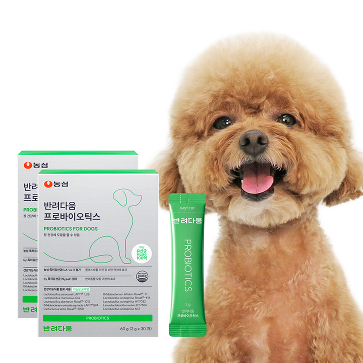 농심 반려다움 강아지 유산균 영양제 애견 펫 프로바이오틱스 30포, 2개, 북어맛분말, 장유산균