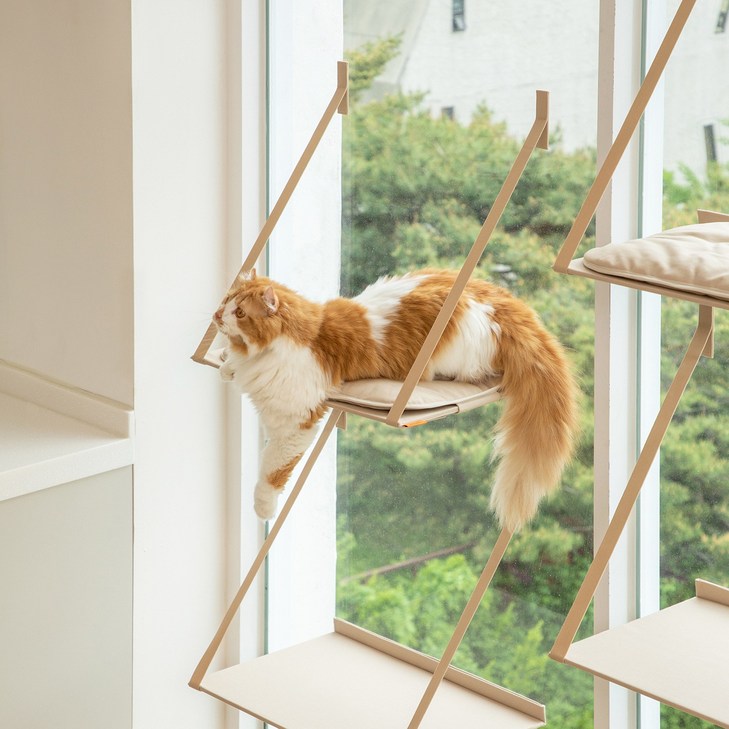 애니멀리프 접을 수 있는 창문 캣타워  고양이 원목 소형 미니 대형 계단 캣워크 캣워커