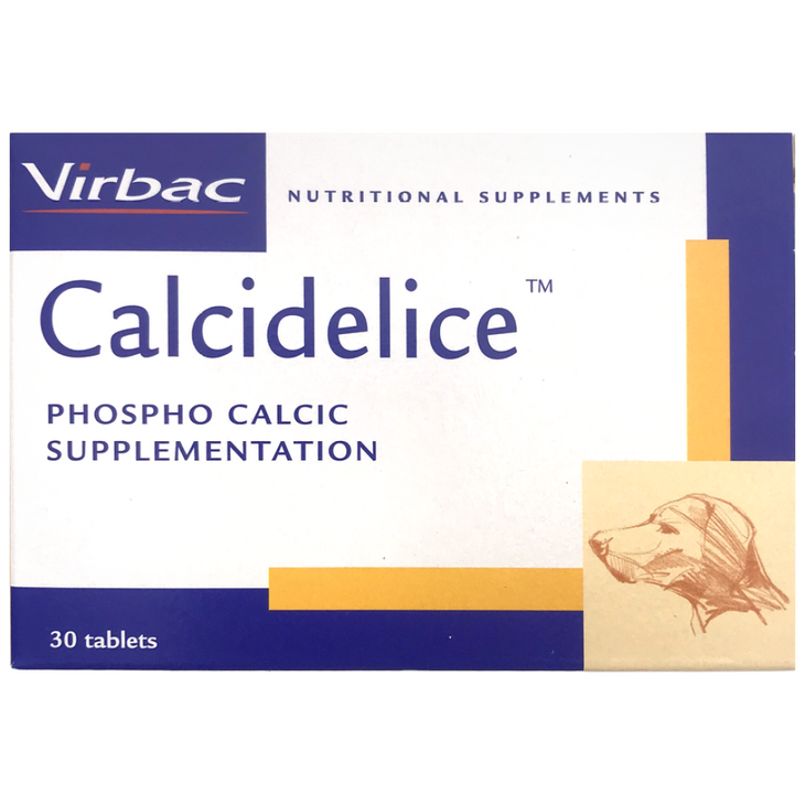 버박 반려동물 칼시데리스 영양제