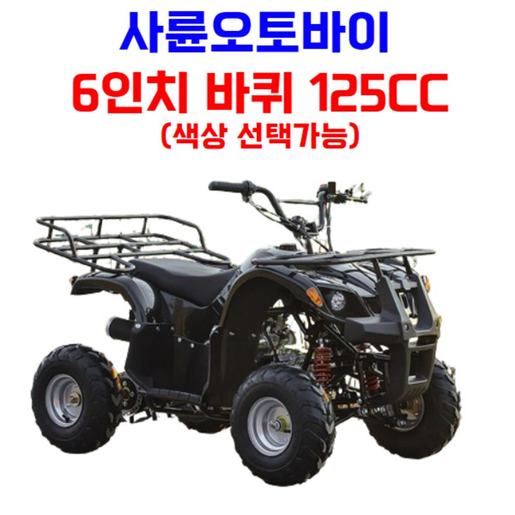 엑티쿼 사륜 오토바이 사발이 4륜 바이크 네발 산악 ATV 운반차 오프로드, 화이트, 01 6인치 125CC 엑티쿼 사륜 오토바이 사발이 4륜 바이크 네발 산악 ATV 운반차 오프로드, 화이트, 01 6인치 125CC