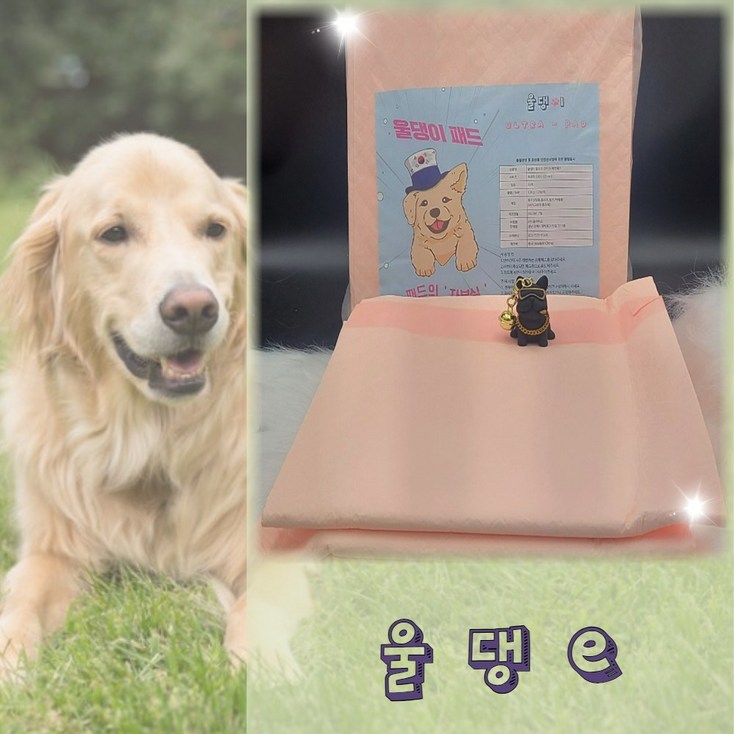 울댕이패드 대형견 특대형 애견 배변패드 90X100 130g, 1팩, 60개입 울댕이패드 대형견 특대형 애견 배변패드 90X100 130g, 1팩, 60개입