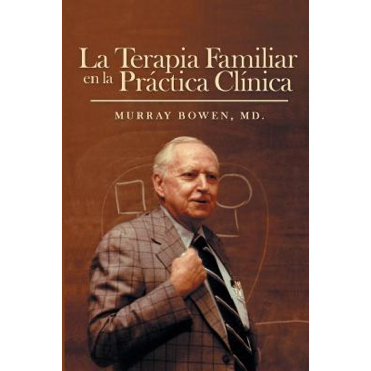 La Terapia Familiar En La Practica Clinica, Paperback