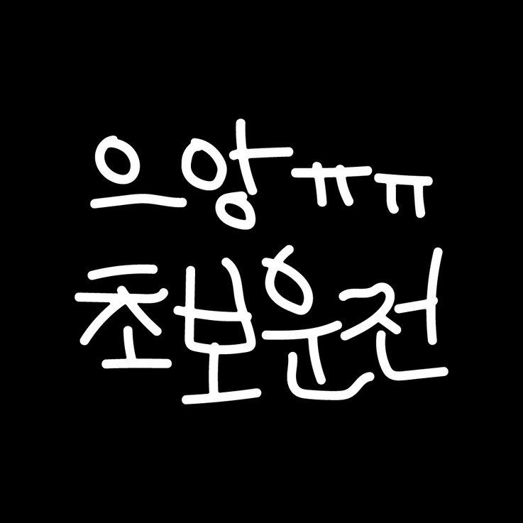 삐뚤빼뚤 초보운전 스티커, 1개, 으앙 초보운전