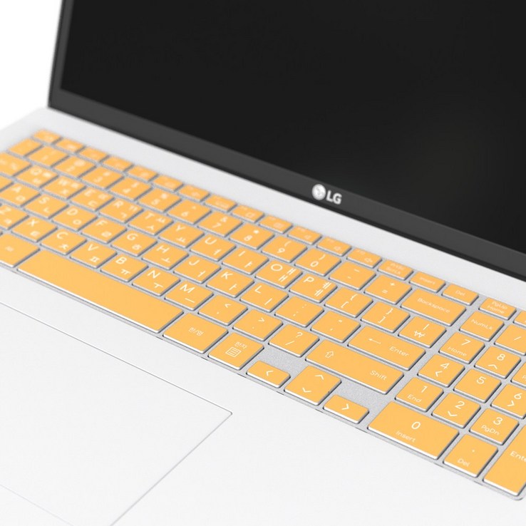 보이아 LG 그램 노트북 키스킨 키보드 커버 ZD90P Z90P ZD95P Z95P 16인치, 키스킨 핑크, 1개