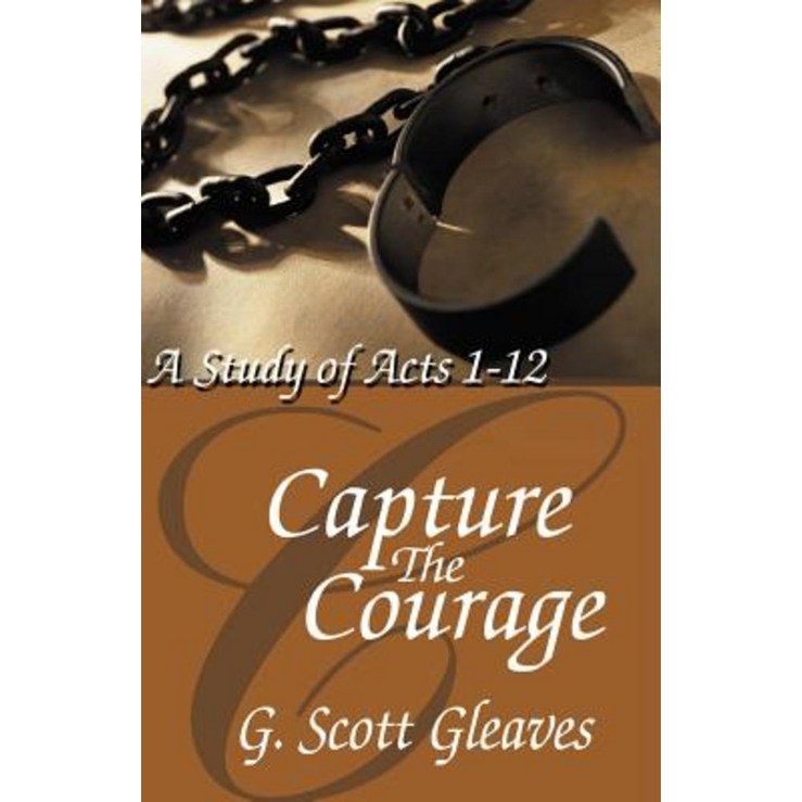 Capture the Courage Paperback 4