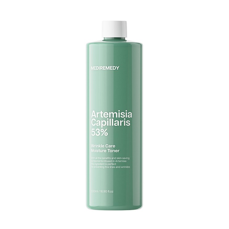메디레머디 사철쑥53 주름개선 모이스처 토너 500ml, 1개, 500ml
