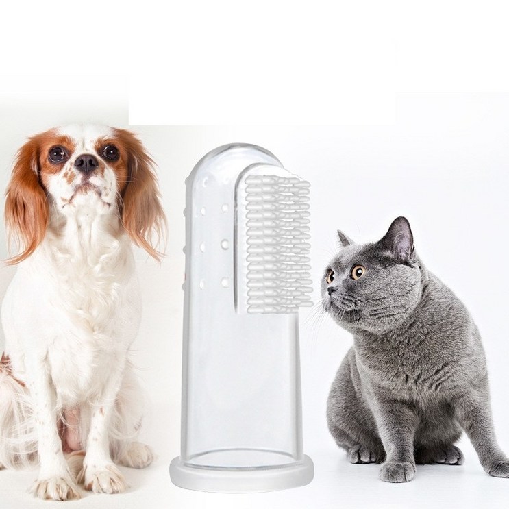퍼피즈랩 고양이 강아지 실리콘 손가락 투명칫솔 10입 양치 구강청결, 10개, 본품 퍼피즈랩 고양이 강아지 실리콘 손가락 투명칫솔 10입 양치 구강청결, 10개, 본품
