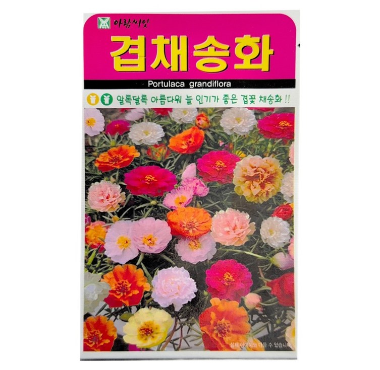 아람종묘 겹채송화 꽃 씨앗 1000립